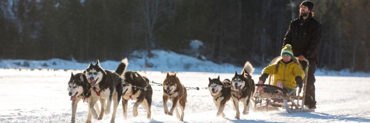 Winter Magic in Saint-Hippolyte, 4 Nights | 5 Days