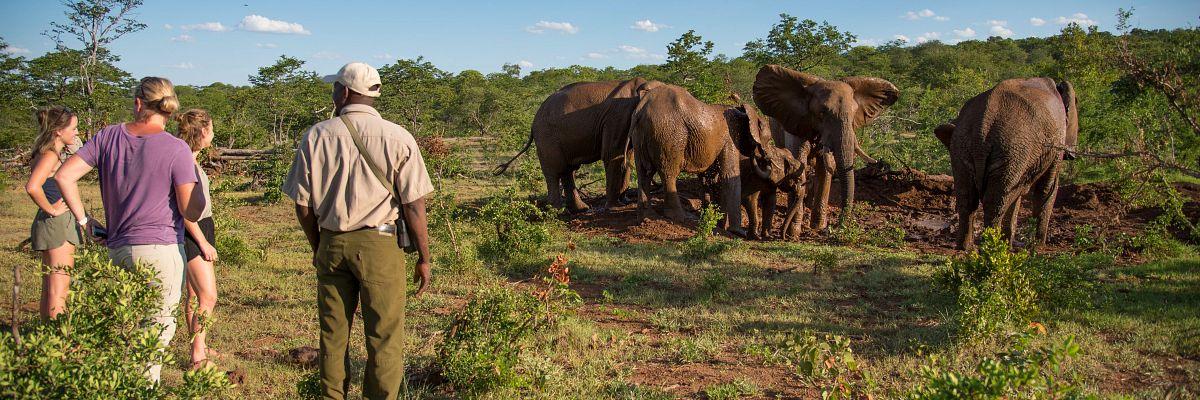 Save up to $1,300* Per Couple on Collette's Cape Town to Cairo Tour